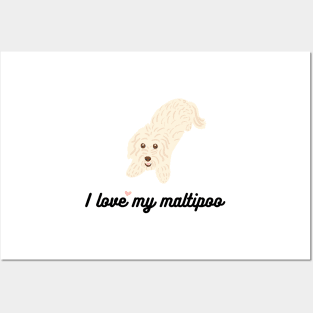 I love my maltipoo! Posters and Art